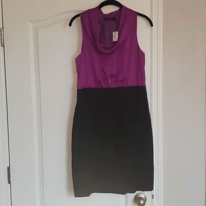 Size 8 The Limited dress
